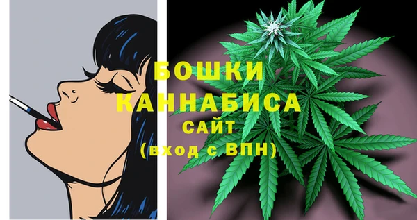 мдпв Волоколамск