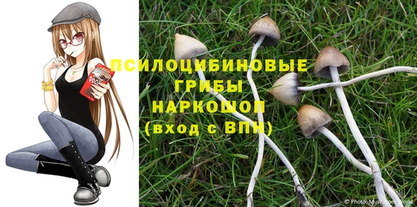прущие крисы Рославль