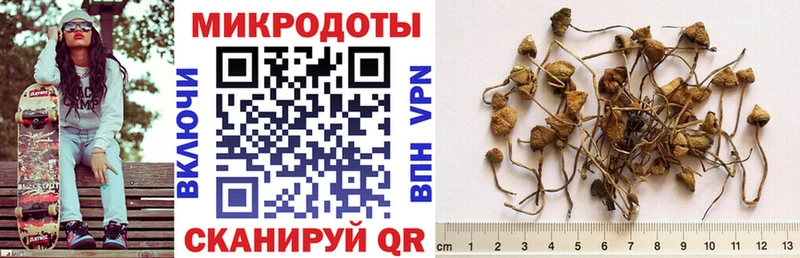 Галлюциногенные грибы MAGIC MUSHROOMS Ноябрьск