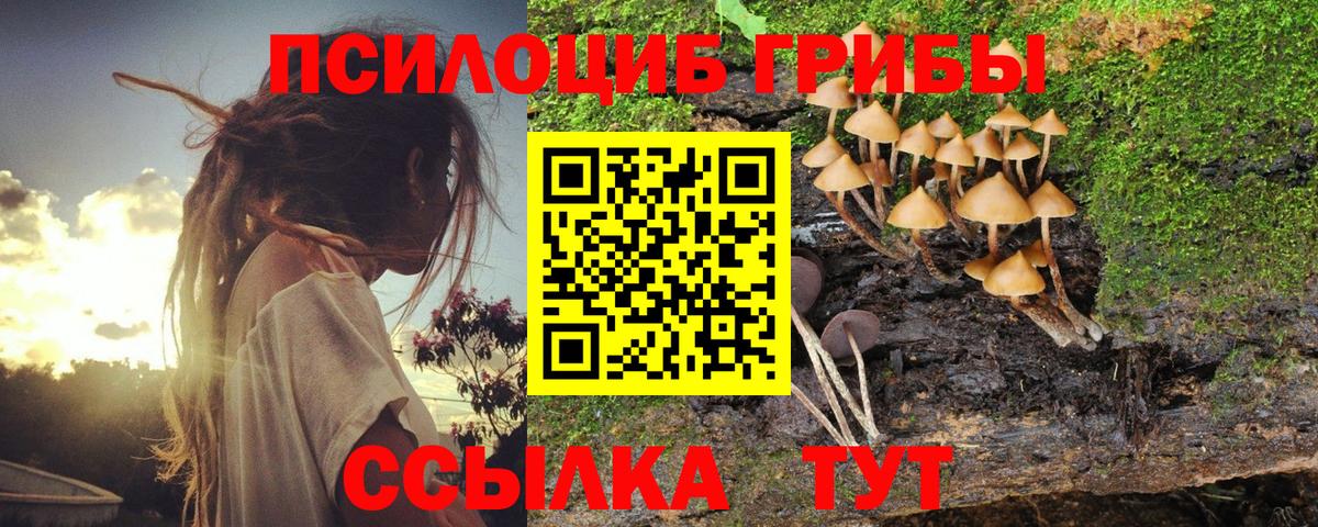 Галлюциногенные грибы Psilocybine cubensis  Вход с VPN  Ноябрьск 